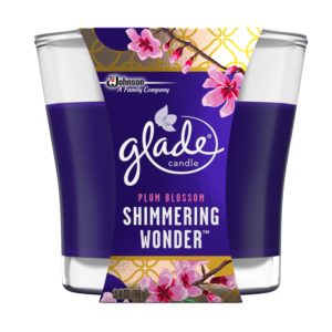 shimmering_wonder_jar_candle-2